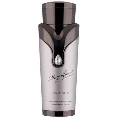 Armaf Magnificent Pour Homme edp 100ml