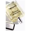 Chanel Platinum Egoiste edt 100ml