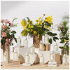 Chloé Atelier Des Fleurs Jasminum Sambac 150ml
