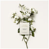 Chloé Atelier Des Fleurs Jasminum Sambac 150ml
