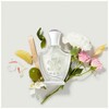 Creed Acqua Fiorentina edp 75ml