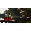 Creed Original Santal edp 50ml