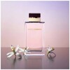 Dolce & Gabbana Pour Femme edp 50ml