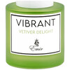 Emir Vibrant Vetiver Delight woda perfumowana 100ml