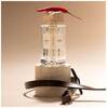 Folia Paris Anglet edp 100ml
