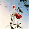 Kenzo Flower L'Absolue edp 30ml