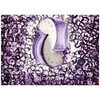 BVLGARI Omnia Amethyste edt 25ml
