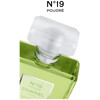 Chanel No.19 Poudré edp 100ml