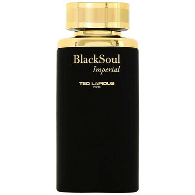 Ted Lapidus Black Soul Imperial edt 100ml
