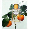 Prada Infusion De Mandarine edp 100ml