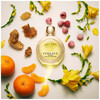 Versace Eros Pour Femme edt 100ml