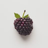 Boysenberry