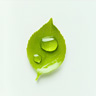 Zielony sok